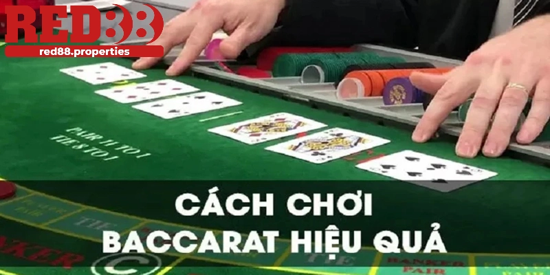 Cách chơi Baccarat online luôn thắng