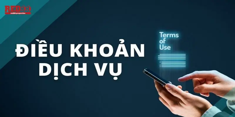 điều khoản điều kiện