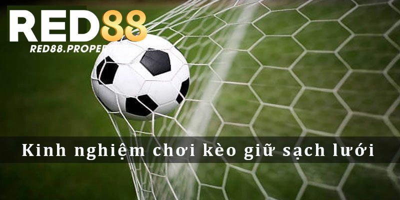 Kinh nghiệm soi kèo trắng lưới cho tân thủ