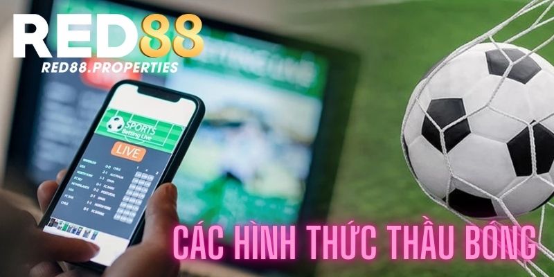 Các hình thức thầu trong bóng đá hiện nay