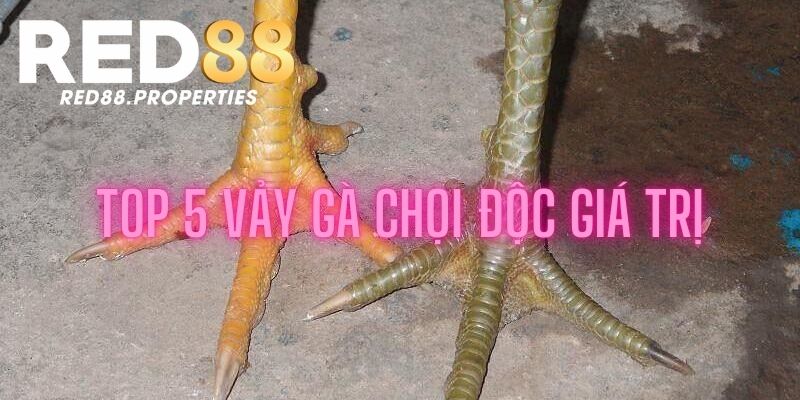 5 loại vảy chọi độc giá trị nhất hiện nay